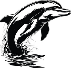 Dolphin Water Splash Dynamic Action Black White Line Art