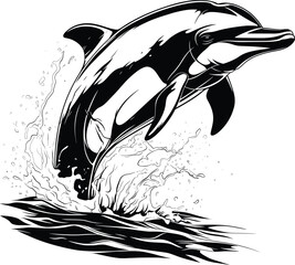 Dolphin Jumping Water Spray Black White Line Art