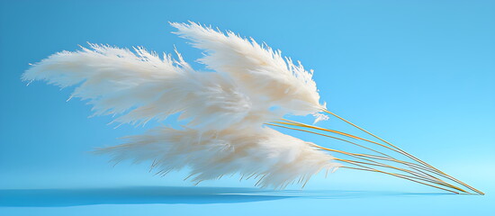 A stretch of pampas grass sways gently in the breeze