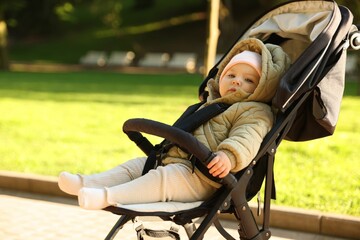 Cute little baby in stroller at park. Space for text