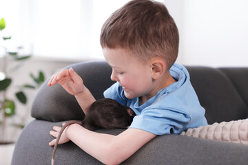 Little boy with his pet rat on sofa at home