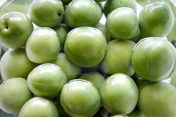 Fresh green plums in water. fruit background and texture