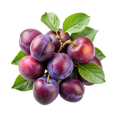 A Pile of Fresh Plums Still Attached to Their Branches and Leaves