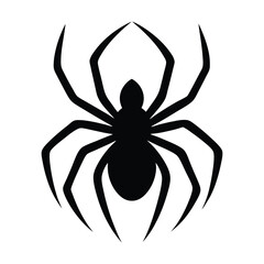 spider on a white background