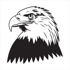 Bald Eagle – Iconic Raptor with Sharp Vision, Strong Wings, and National Pride