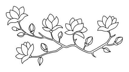 Fototapeta premium Magnolia flower, magnolia tree branch line art