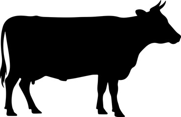 Cow graphic icon. Cow black silhouette isolated on white background. Vector illustration silhouette