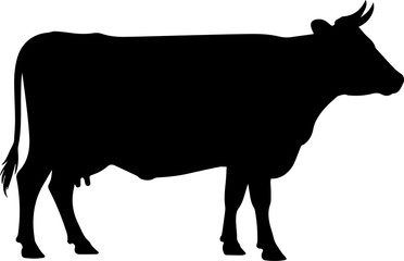 Cow graphic icon. Cow black silhouette isolated on white background. Vector illustration silhouette