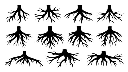 Set of tree roots silhouette