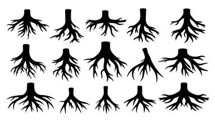 Set of tree roots silhouette