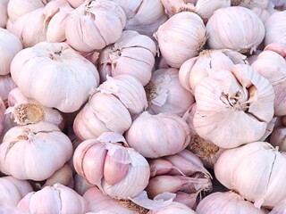 Garlic texture background. Fresh garlic in the market.