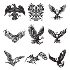 Symbol of Freedom – Bald Eagle Portrait