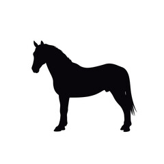 Fototapeta premium A black silhouette of a horse stands against a white background for use in equine themed logos, equestrian print ads, and educational materials.