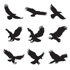 Fototapeta premium Majestic Bald Eagle in Flying