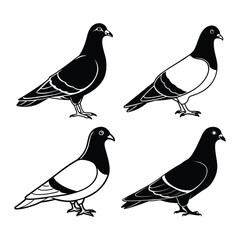 Set of pigeon silhouette vector art illustrations