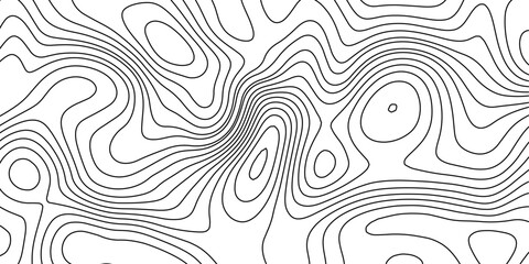 Minimal Grey Contour Line Background for Abstract Topographic Style. © hossain
