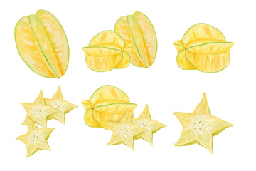 watercolor illustration of  Star Fruit