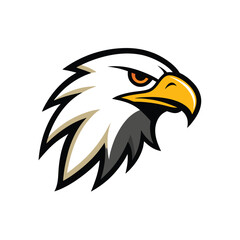 Obraz premium bald eagle vector illustration