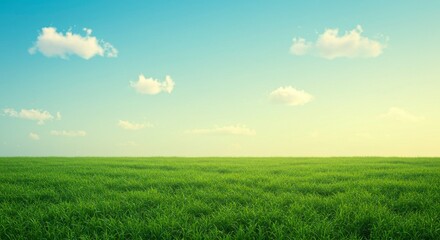 Fototapeta premium Serene landscape of a vast, green field extending to a clear sky with scattered clouds, bathed in the soft light of either dawn or dusk