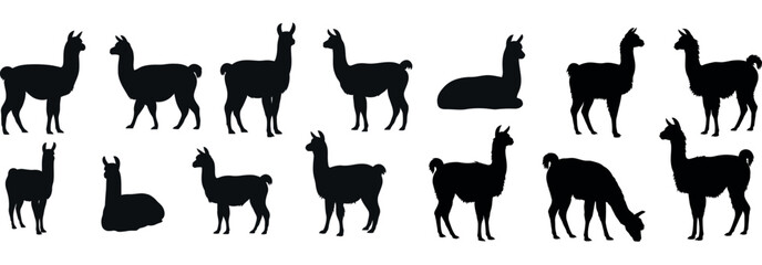 Collection of llama silhouettes on white background.