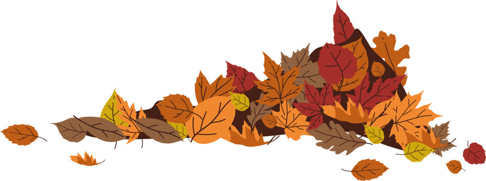 Autumn Leaf Pile Illustration