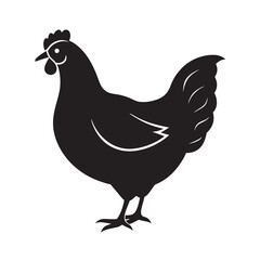 Profile View Chicken Poultry Bird Silhouette