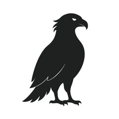 Profile View Eagle Soaring Bird Silhouette