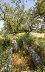 Ancient megalithic tomb Anta Pequena do Zambujeiro in Évora, Portugal, surrounded by nature and bathed in soft sunlight. Historical and archaeological heritage.