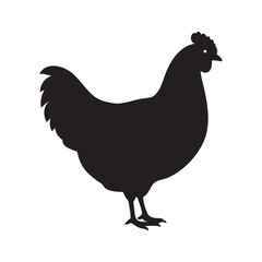 Profile View Chicken Poultry Bird Silhouette