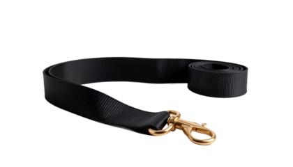 Black dog leash with gold clasp on isolated transparent background  