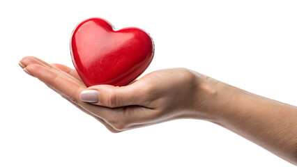 Obraz premium heart on palm