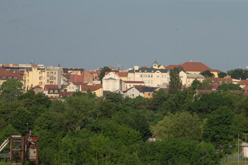 Fototapeta premium A bustling city featuring an extensive array of buildings, with lush trees prominently placed in the foreground, creating a vibrant scene