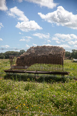 Cattle hay feeder on a rural farm, used to efficiently provide hay to cows. Agricultural equipment in a pasture setting, symbolizing livestock care and farming tools.