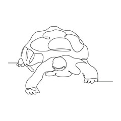 Continuous line of sea turtle tortoise giant galapgos sulcata brazilian animal reptile hard carapace wildlife sketch drawing editable stroke vector illustration
