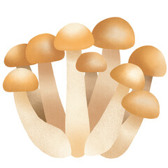 Shimeji Mushrooms