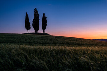 Obraz premium Alba sulle colline toscane