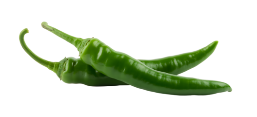 Green chili pepper isolated 