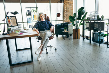 Confident mature businesswoman in a stylish office environment, representing professionalism and...