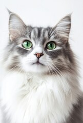 Obraz premium WHITE BACKGROUND