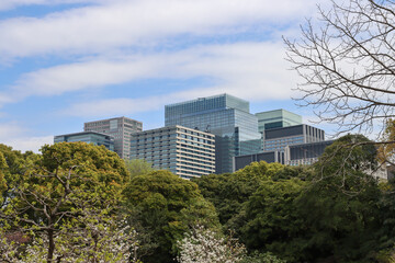 Modern office building raising above park trees