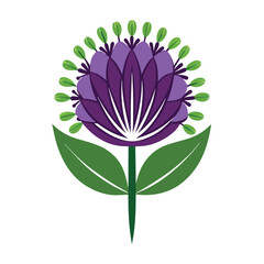 Allium christophii flower vector art