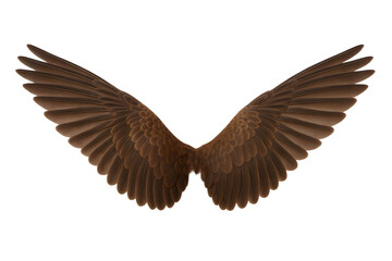 Obraz premium Brown Feathered Wings Isolated on Transparent Background