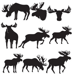 A collection Of moose silhouette in various poses, showcasing the majestic and powerful stance of this iconic animal, perfect for wildlife themed design, outdoor branding, decorations, background, etc
