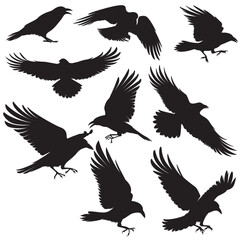 A collection Of elegant raven silhouette illustration in various dynamic poses, perfect for wildlife themed design, background, stickers, Clipart, nature inspired projects etc