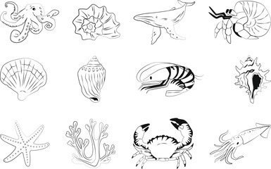 Set of sea elements in doodle style, shells, seafood