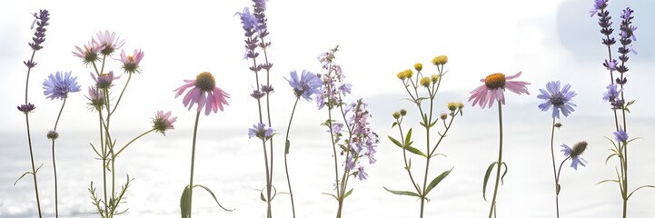 Fototapeta premium Beautiful floral set with hand-drawn rainy season wildflowers.