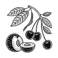 Vector Illustration Set of Fresh and Juicy Fruits Including Apple and Citrus