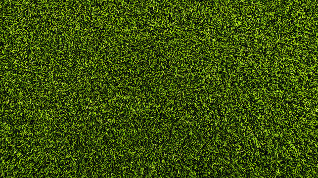 Lush Green Grass Texture Background Vibrant Green Turf