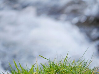 A blurry image of a river with grass on the bank