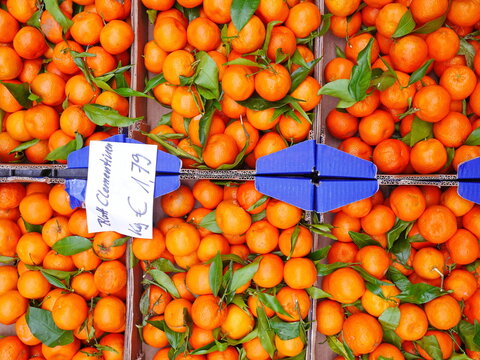 A bunch of oranges are on display in a market